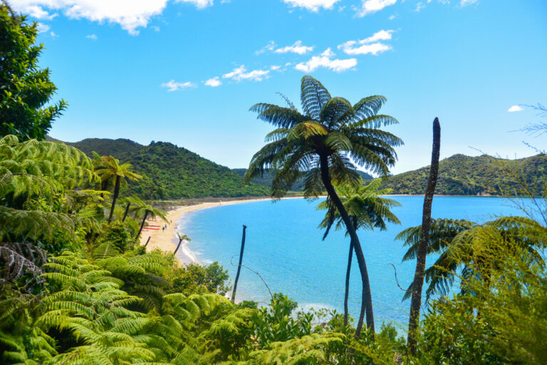 honeymoon shows Abel Tasman National Park beaches