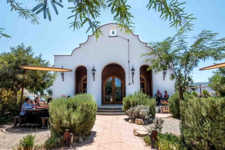 honeymoon shows,Adobe-Guadalupe-Valle-de-Guadalupe-Baja-Mexico wine