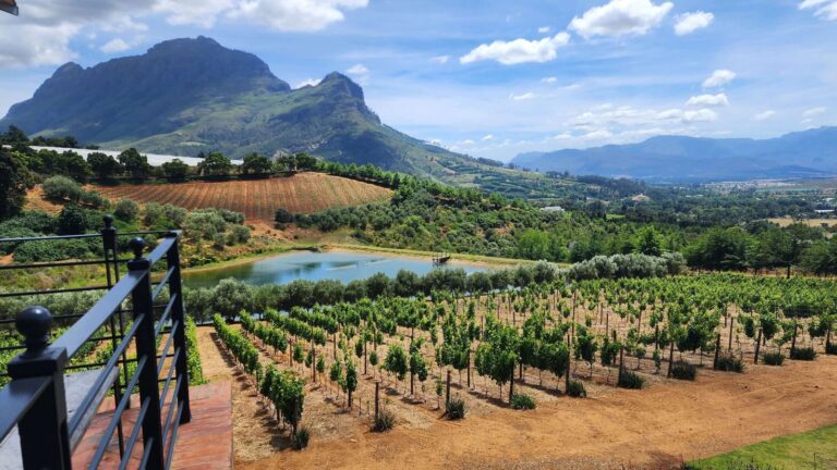 honeymoon shows, , Cape Winelands winery