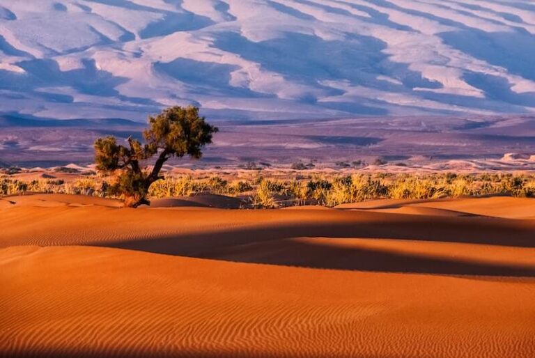 honeymoon shows, The Sahara Desert, Morocco mountains