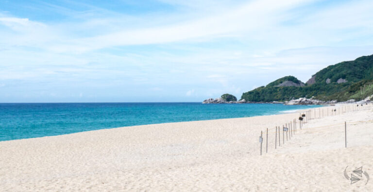 honeymoon shows, Yakushima, Japan beaches