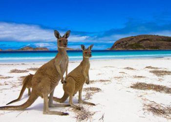 honeymoon shows, Kangaroo-Island-Australia beaches