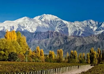 honeymoon shows, Mendoza Argentina wine