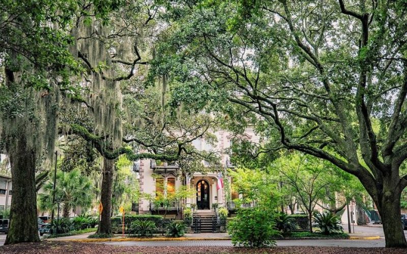 honeymoon shows, Savannah ga downtown