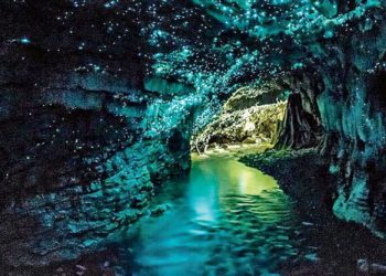 honeymoon shows, Waitomo Glowworm Caves new zealand